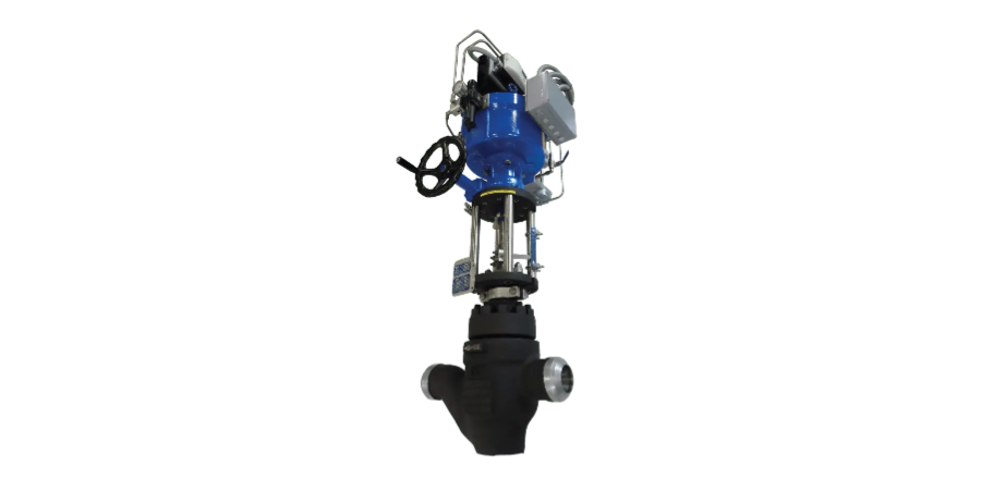 Severe service control valves